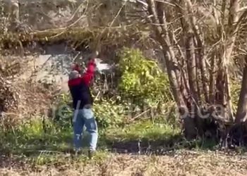 В Сочи спасли чайку, запутавшуюся в леске