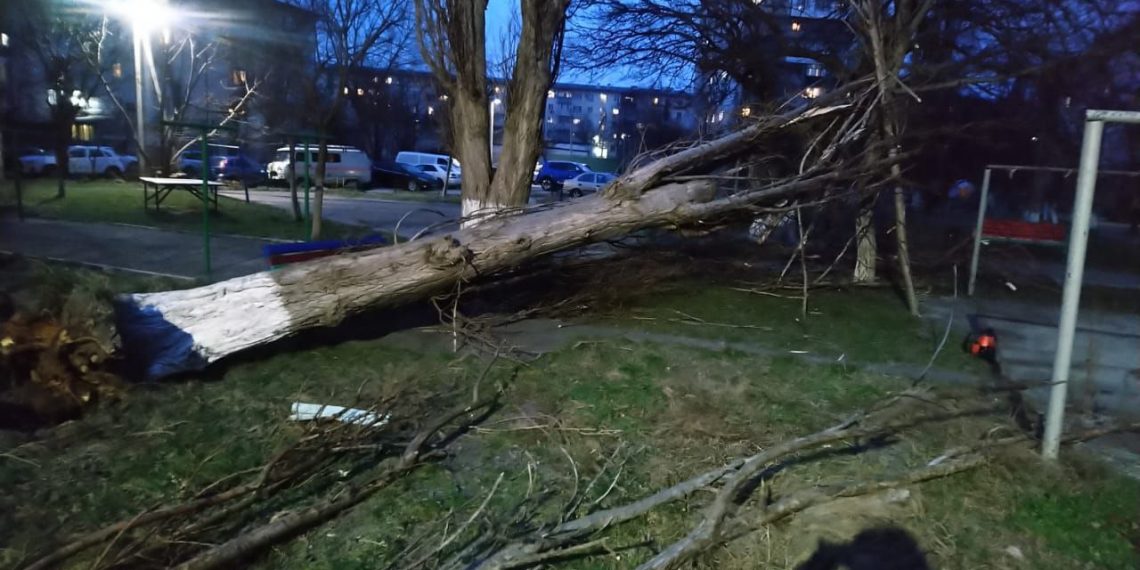 Ураганный ветер в Новороссийске 6 февраля наломал дров