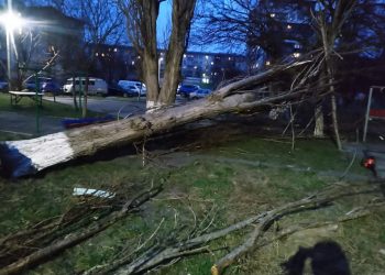 Ураганный ветер в Новороссийске 6 февраля наломал дров