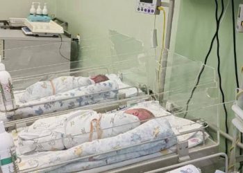 С начала года на Кубани родились 4676 детей