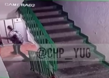 В Новороссийске мужчина подловил в подъезде собаку и набросился на нее с ножом