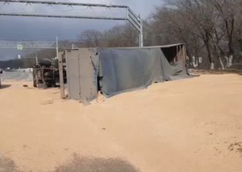 Стали известны подробности ДТП с зерновозом на Кубани