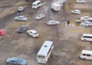 Во дворах Краснодара наблюдают Броуновское движение автотранспорта