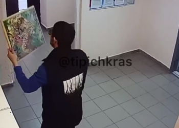 В многоэтажке Краснодара кот Базилио украл картину — жители грустят