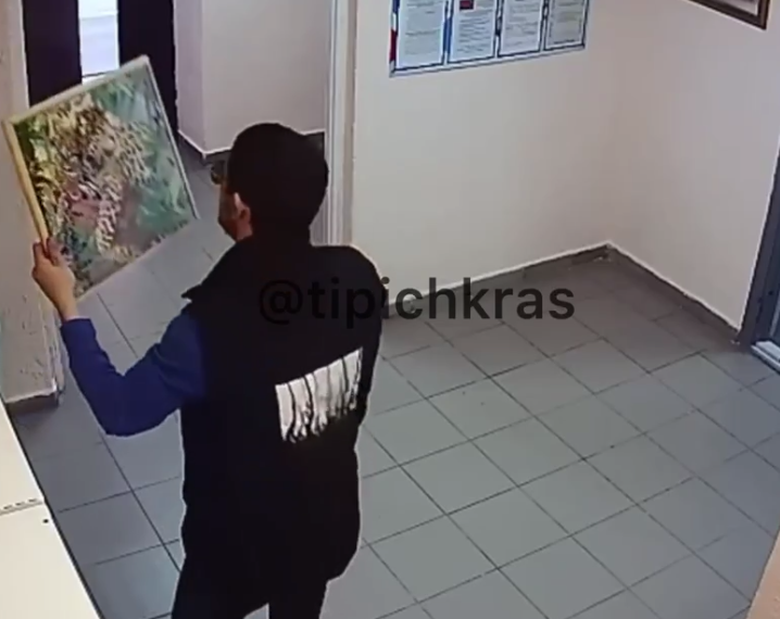 В многоэтажке Краснодара кот Базилио украл картину — жители грустят