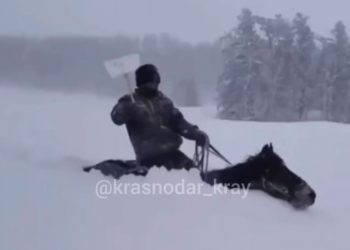 В Адыгее мужчина скакал на лошади по огромному слою снега