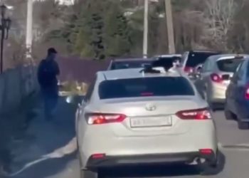 В Сочи кота катали на крыше машины