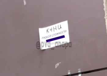 На Кубани выстроилась очередь за «куни любой сложности»