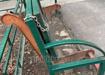 Строгий режим: в Краснодаре обнаружили суровые «бабушкины лавочки» на цепи