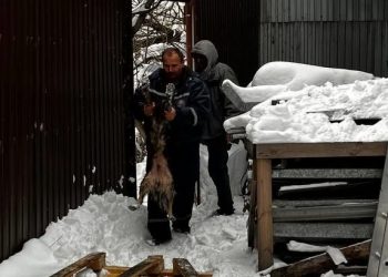 В Краснодаре спасли провалившуюся под лед собаку