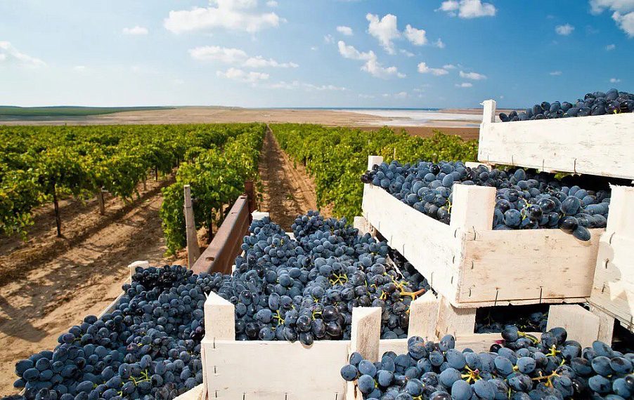 На Кубани запустят новый туристический поезд для гурманов