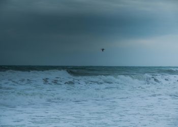 В Новороссийске ожидаются двухметровые волны