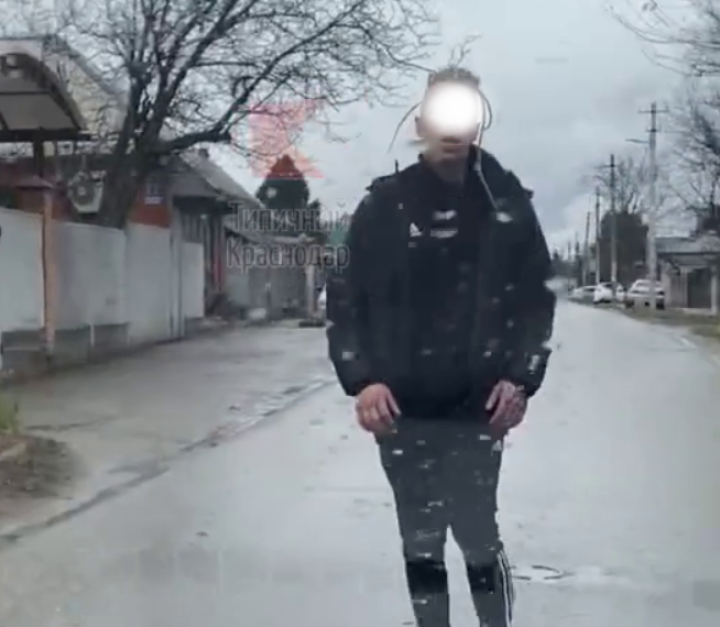 В фильмах так начинается зомби-апокалипсис: на Кубани “Элджей”, зараженный кракеном, бросился под машину