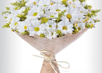 Какие цветы подарить типу личности «Администратор». Советы от Флорист.ру