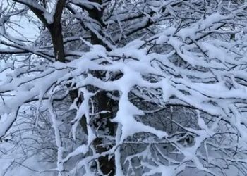 В Сочи ожидаются дожди, грозы и ветер до 24 м/с