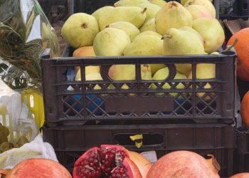 «Меня вообще удивляет, как люди там что-то покупают»: краснодарцы заявили о сплошной антисанитарии на ярмарках выходного дня