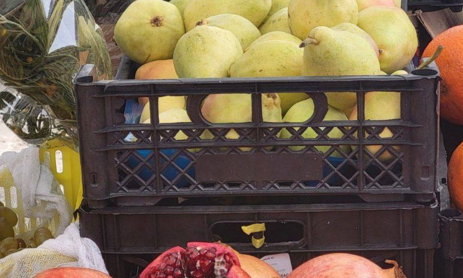 «Меня вообще удивляет, как люди там что-то покупают»: краснодарцы заявили о сплошной антисанитарии на ярмарках выходного дня