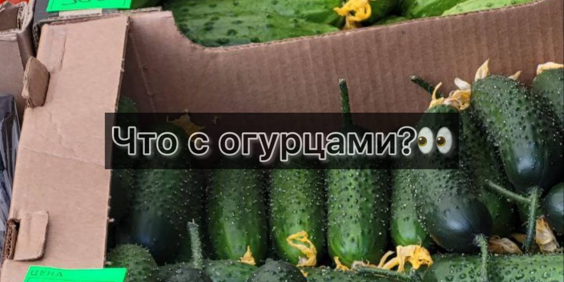 На Кубани огурцы резко подросли в цене