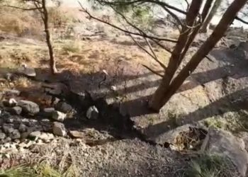 На Кубани кемпинг «сполз» вниз из-за подвижки грунта