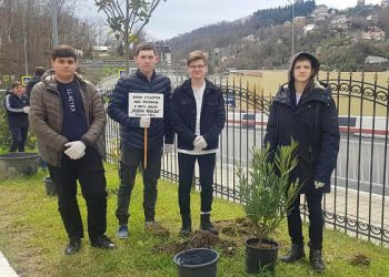 Стало известно, насколько в Сочи и в Краснодаре загрязнен воздух