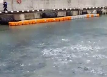 В море в Сочи снова ловят форель