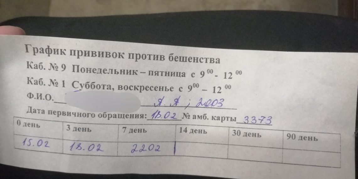 В Краснодаре собака напала на молодого человека