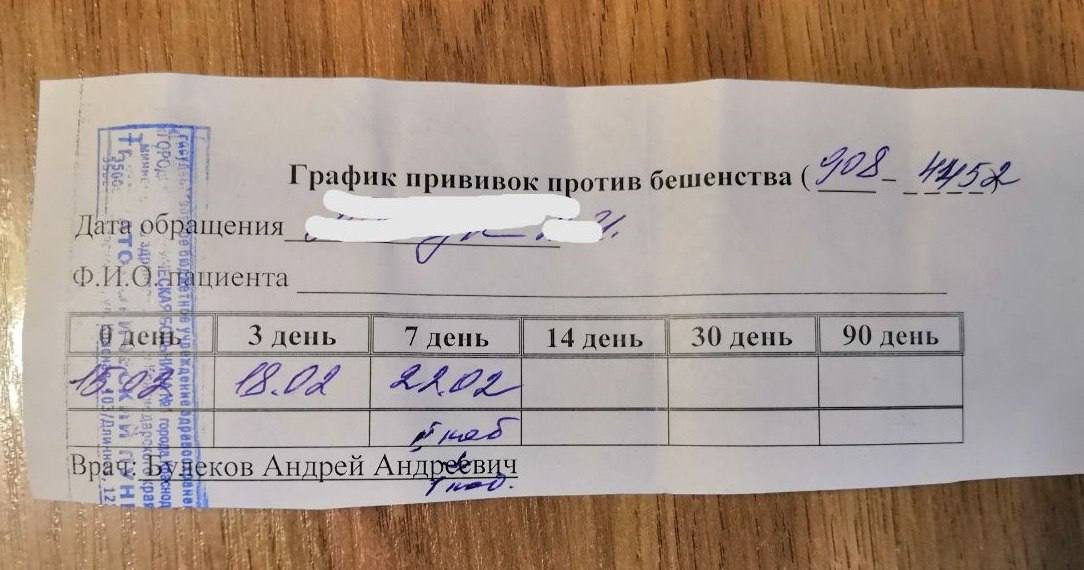 В Краснодаре мужчину грызли собаки, никто из очевидцев на помощь не пришел