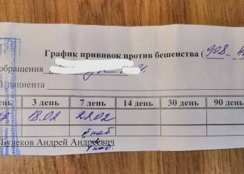 В Краснодаре мужчину грызли собаки, никто из очевидцев на помощь не пришел