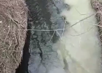 На Кубани рядом с парком Утриш в реку Сукко течет зловонная жижа