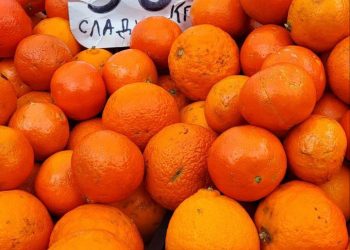 Когда подешевеют огурцы: краснодарцам рассказали о ценах на ярмарках выходного дня