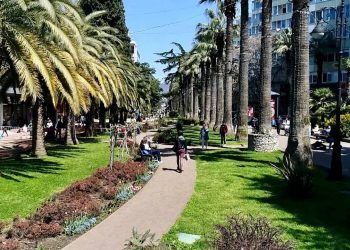 В Сочи началось голосование за проекты благоустройства