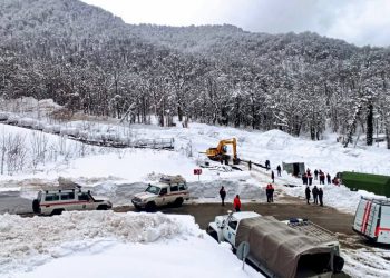 В Сочи прибыли Кондратьев и глава МЧС России