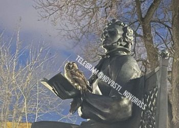 В Новороссийске засняли сову, севшую на руки к Пушкину с книгой