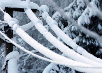 На Кубани в понедельник ожидается сильное налипание мокрого снега на проводах и деревьях