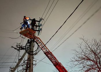 В Новороссийске ветер повредил 13 кровель и повалил 25 деревьев