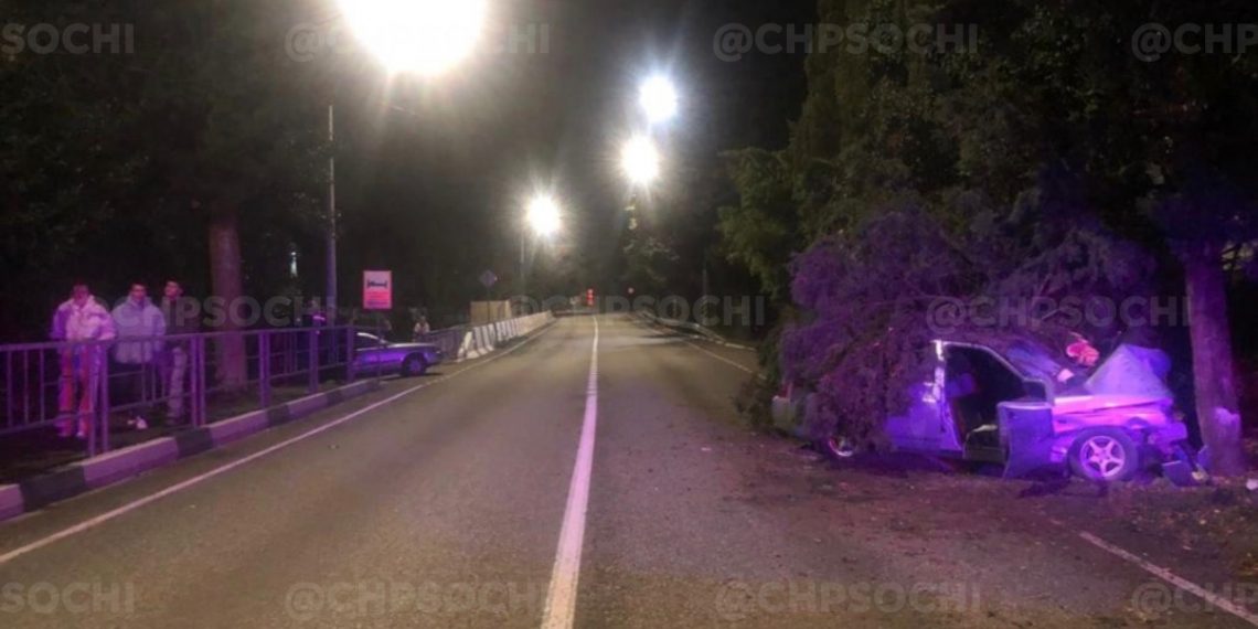 В Сочи мужчина оказался в больнице после столкновения с деревом