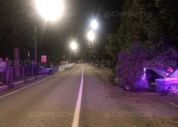 В Сочи мужчина оказался в больнице после столкновения с деревом
