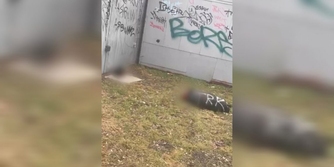 В Краснодаре ребенок нарисовал граффити на обезглавленном трупе собаки