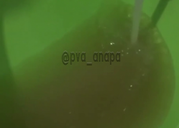 Жительница Кубани пожаловалась на воду из-под крана с желтоватым оттенком