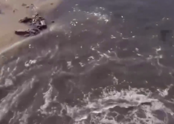 Жители Краснодара жалуются на зловонные стоки, стекающие в реку Кубань