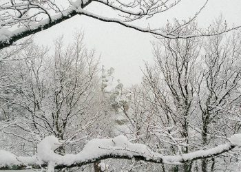 В Сочи ожидаются обильные снегопады 6 и 7 февраля