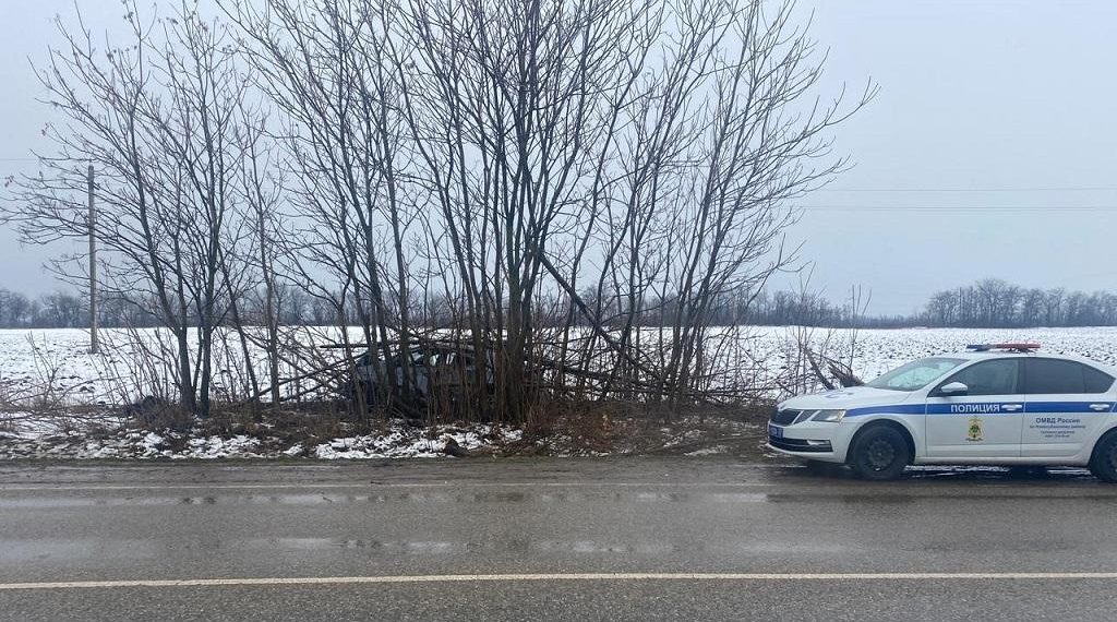 На Кубани женщина на Chevrolet врезалась в деревья