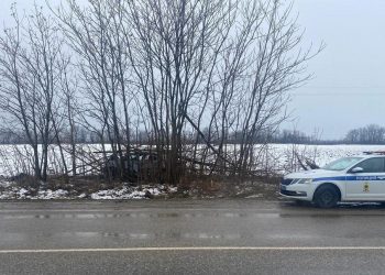 На Кубани женщина на Chevrolet врезалась в деревья