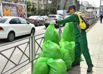 В Сочи около тысячи человек приняли участие в субботнике