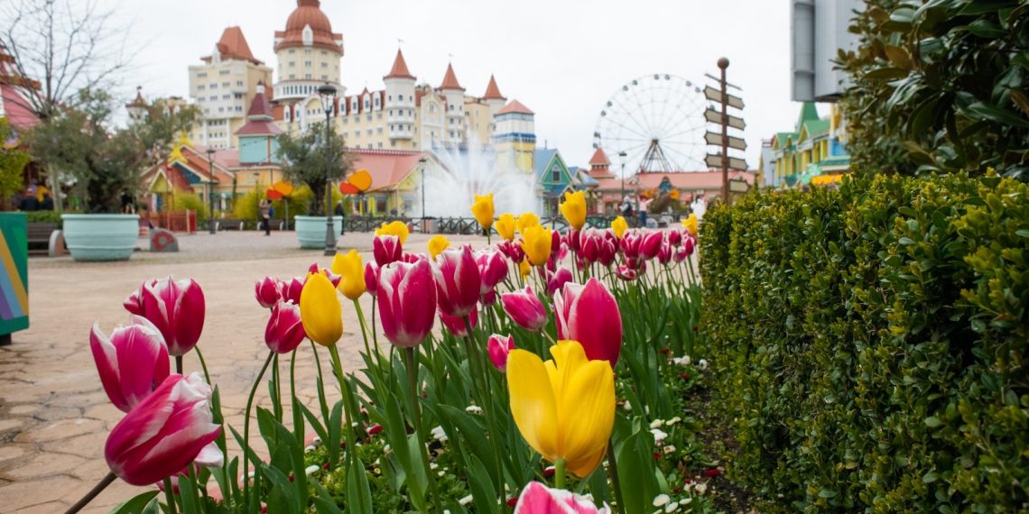 8 марта Сочи Парк дарит скидку на билет для женщин