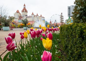 8 марта Сочи Парк дарит скидку на билет для женщин