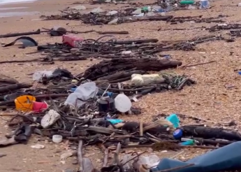 На Черноморское побережье Кубани после шторма выбросило тонны мусора