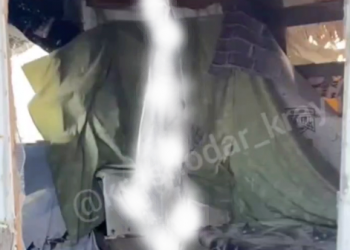 На Кубани в бунгало на Черноморском побережье найден мертвый дельфин, подвешенный за хвост