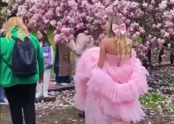 В Сочи женщины ради фотосессии на фоне магнолий утопают в грязи