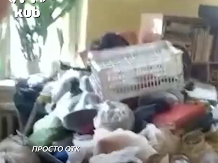 Жительница Краснодара завалила дом мусором и включила газ, чтобы коты могли открыть холодильник